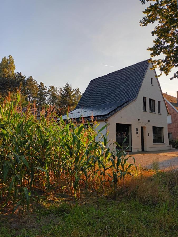 B&B Snelleghem Snellegem Kültér fotó